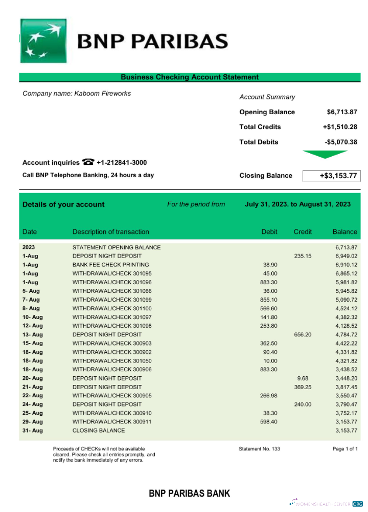 Download Bank BNP Paribas company statement Word and PDF template Photoshop template